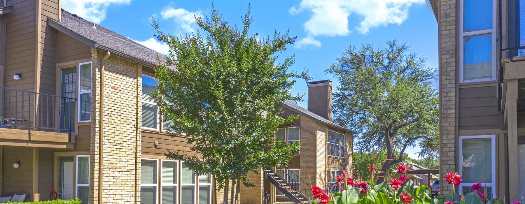 a tree in front of a house